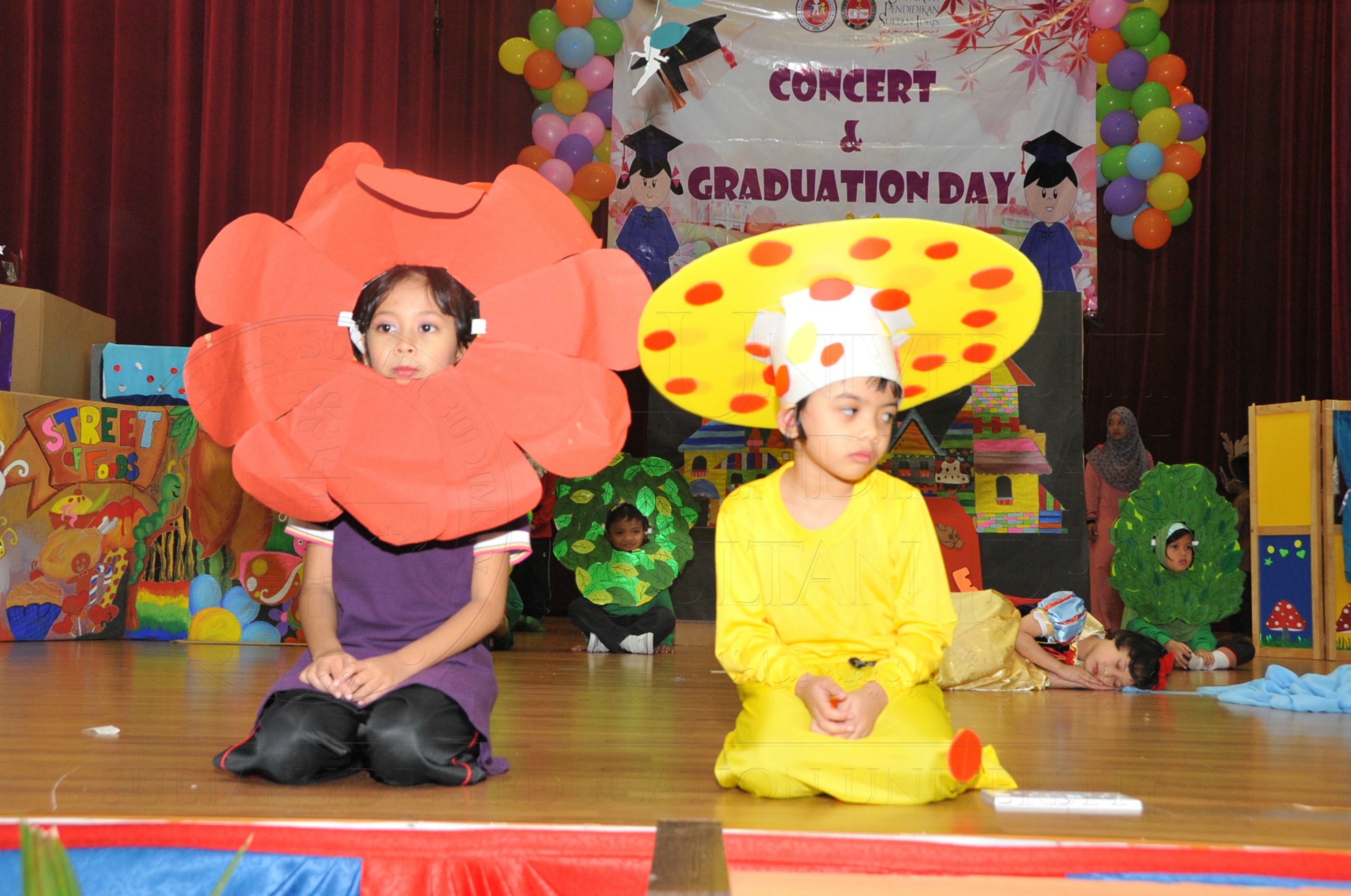 PRO15 163 KONVO HAS 0802